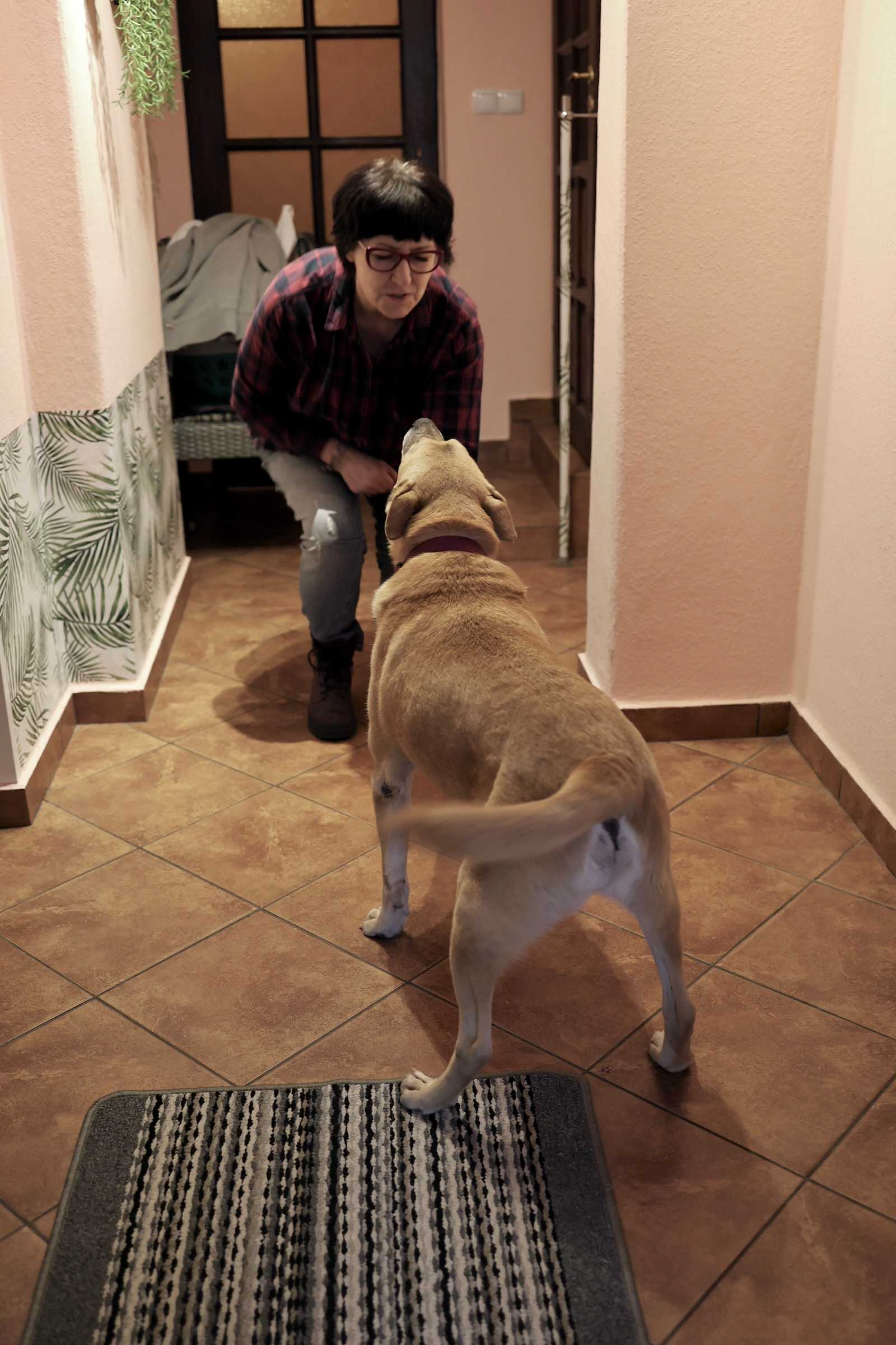 Photo 40